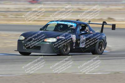 media/Nov-11-2023-GTA Finals Buttonwillow (Sat) [[117180e161]]/Group 4/Close Ups/